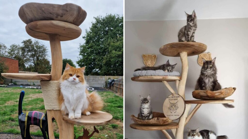 vrai arbre bois naturel