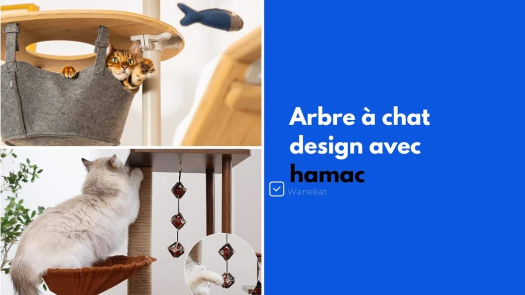 arbre a chat design et hamac