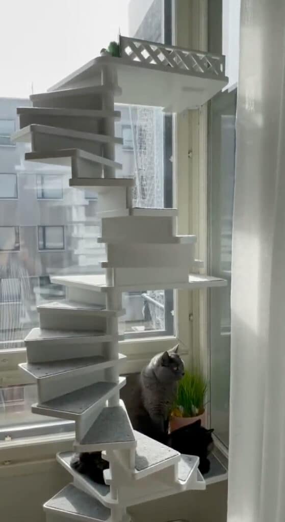 arbre a chat escalier marches colimacon en vente