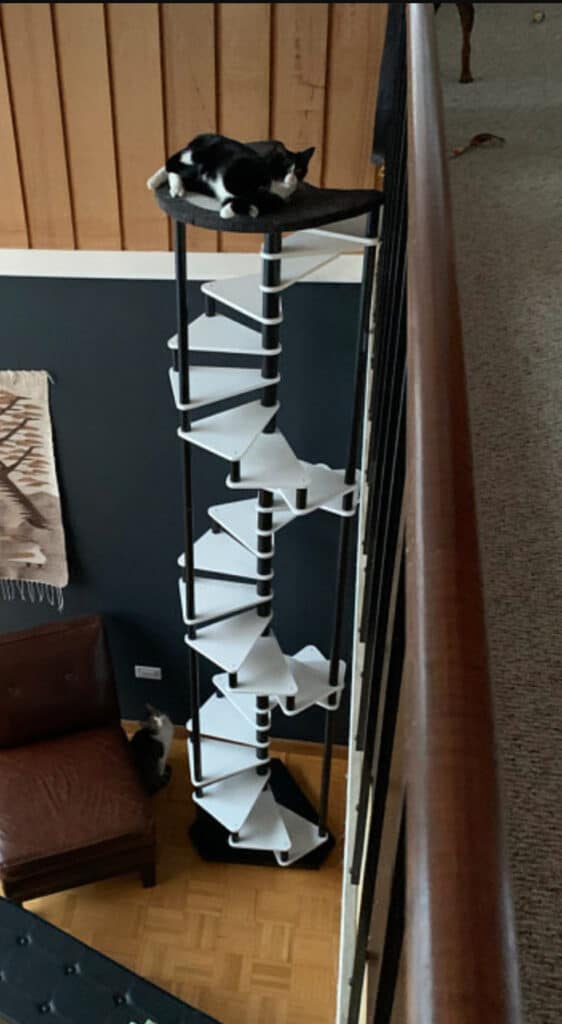 arbre a chat escalier usa