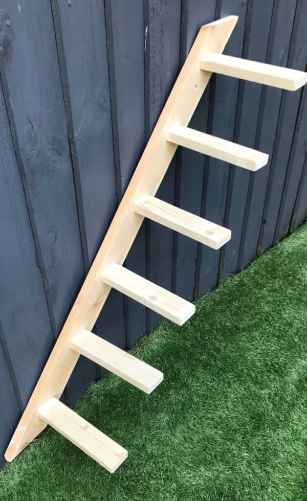 escalier chat structure murale