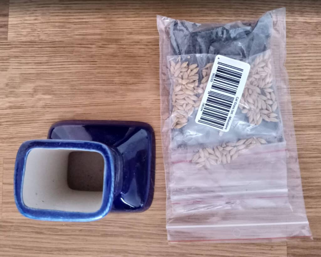 fontaine chat sans filtre module herbe a chat