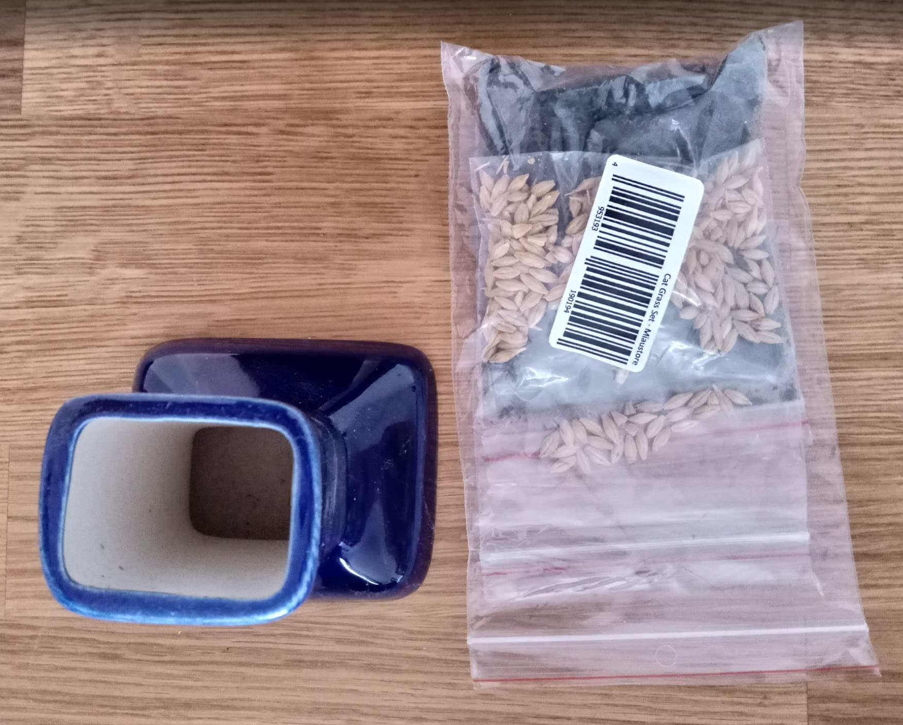 fontaine chat sans filtre module herbe a chat