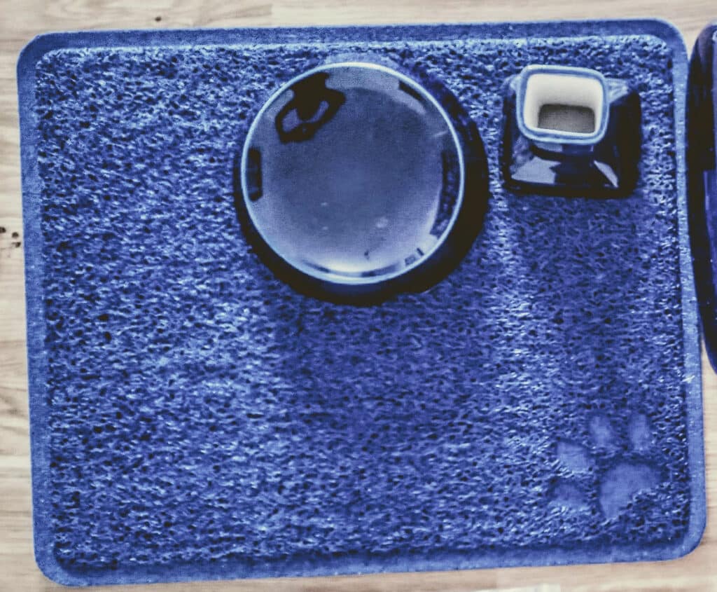 fontaine chat sans filtre tapis