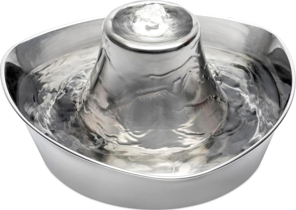 meilleure fontaine a eau pour chat acier inoxydable